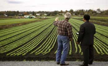 3 Key Factors to Plan Well Before Buying Farmland for Sale