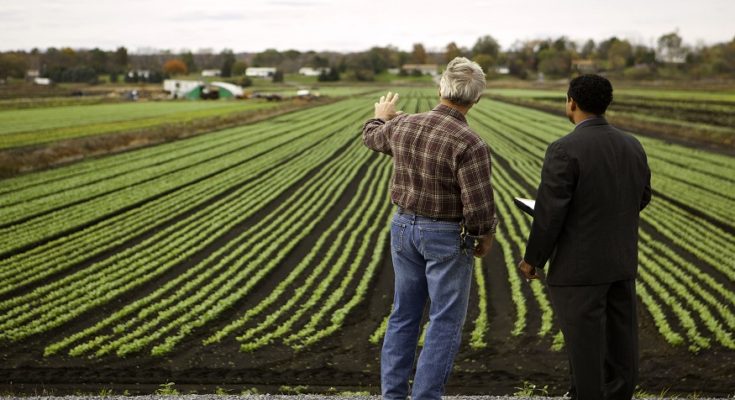 3 Key Factors to Plan Well Before Buying Farmland for Sale