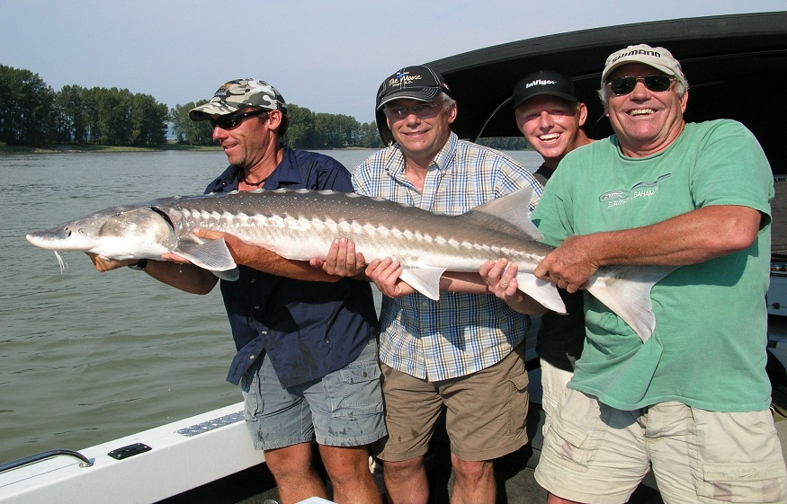 Sturgeon Caviar Farm My Blog