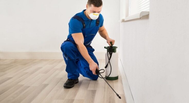 Insect Control Companies