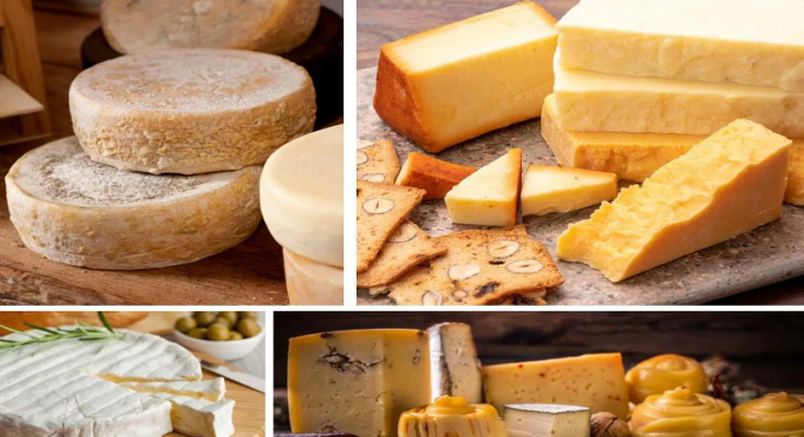 Popular Cheeses